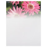 Pink Gerbera Daisy