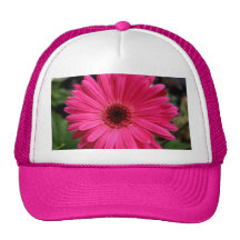 Pink Gerbera Daisy Mesh Hat