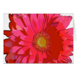 Pink Gerbera Daisy Note Card