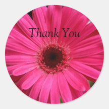 Pink Gerbera Daisy Round Sticker