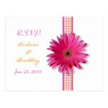 Pink Gerbera Daisy RSVP Postcard