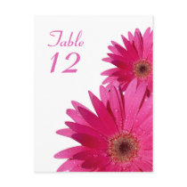 Pink Gerbera Daisy Table Number Card