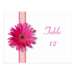 Pink Gerbera Daisy Table Number Card Postcard