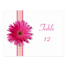Pink Gerbera Daisy Table Number Card Postcard