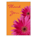 Pink Gerbera Daisy Wedding Thank You Card