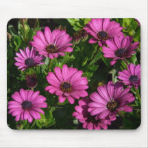 Pink Gerbera Mouse Pad
