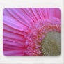 Pink Gerbera Mousepad