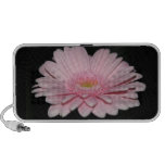 pink gerbera speaker