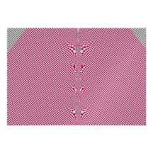 Pink Gingham Shirt Fractal Personalized Announcements