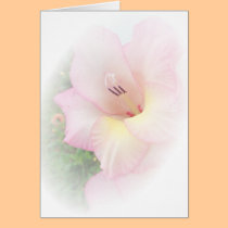 Pink gladiola cards