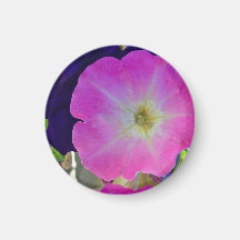 Pink gloryand dark purple flowers magnets