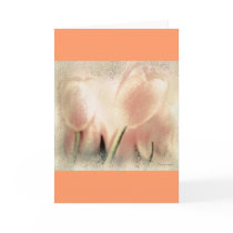 Pink Glow, Tulips, Beautiful Card, Template