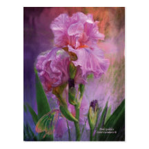 Pink Goddess Art Postcard