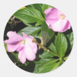 pink & green flora round sticker