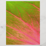 pink green leaf flyer