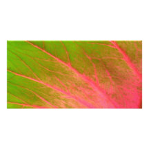 pink green leaf picture card