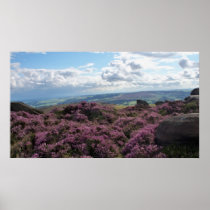 Pink Heather and Blue Sky Poster