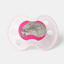 Pink Hedgehog Pacifier