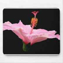 Pink Hibiscus Mouse Pad