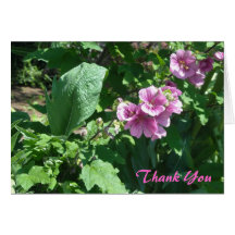 Pink Hollyhocks Thank You Card