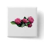 Pink Hydrangea