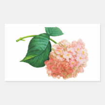 Pink Hydrangea by Pierre Joseph Redoute Rectangle Stickers
