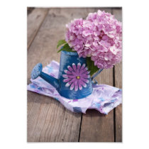 Pink hydrangea in a watering can photo