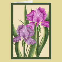 Pink Iris cards