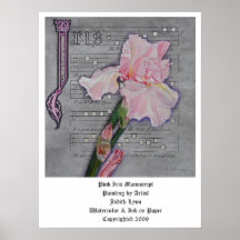 Pink Iris Manuscript Poster