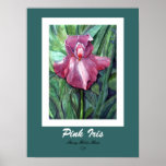 Pink Iris Print
