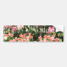 Pink Keukenhof Gardens, Holland flowers Bumper Stickers