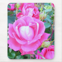 Pink Knockout Rose Mousepad