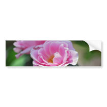 Pink lacy rose and meaning bumper sticker
