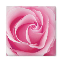Pink Lady Rose Magnet - Square