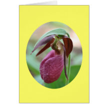 Pink Lady Slipper Orchid Flower Photography Card