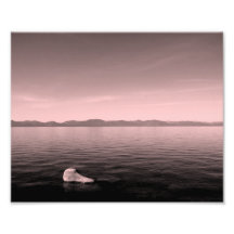 Pink Lake Photograph