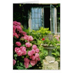 Pink Leaded Window, Hydrangea macrophylla, Urn Wit Greeting Cards
