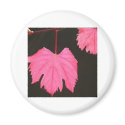 Pink Leaves magnets