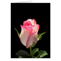 Pink Lemonade V2 Greeting Card