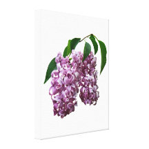 Pink Lilac Duo Gallery Wrapped Canvas