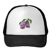 Pink Lilac Duo Mesh Hats