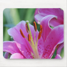 Pink Lilies  Mouse Pad