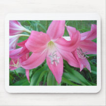 Pink Lilly Blooms Mousepad