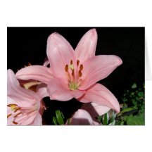 Pink Lilly Card