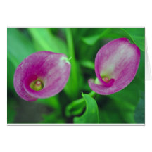 Pink Lilly Card