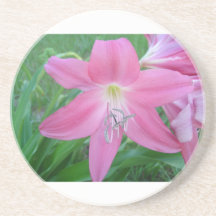 Pink Lilly Coasters