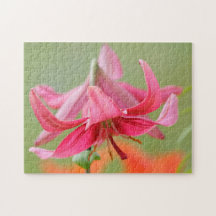 Pink lilly jigsaw puzzles
