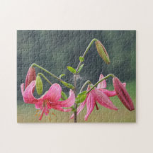 Pink lilly puzzles