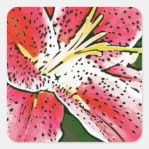 Pink Lilly Square Sticker
