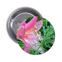 pink lily